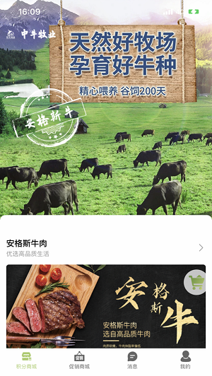 中牛牧业
