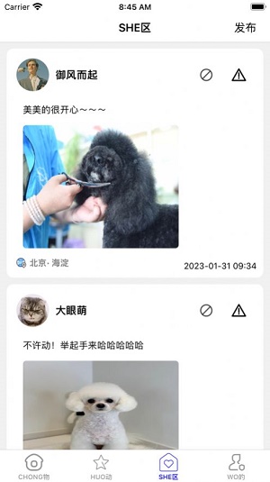 宠型生活