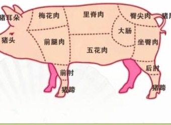 汉字找茬王吃掉一头猪找出美食对应部位攻略 吃掉一头猪过关技巧