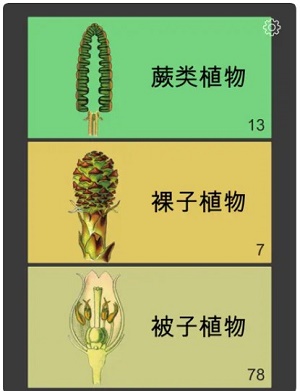 常用植物图鉴