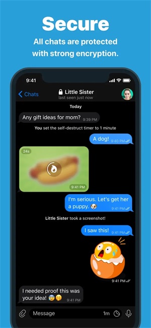 2023Telegram