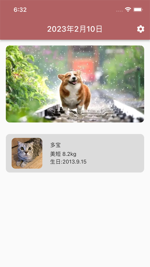 宠物奇幻旅程
