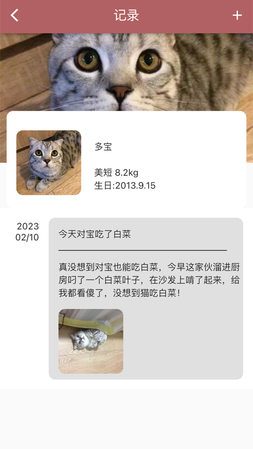 宠物奇幻旅程