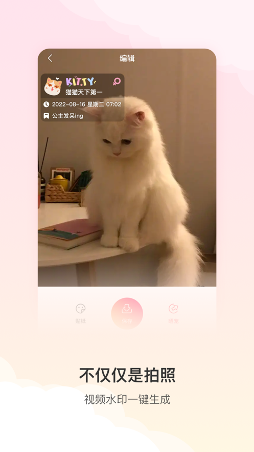 宠物水印相机