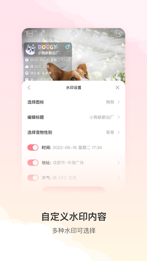 宠物水印相机