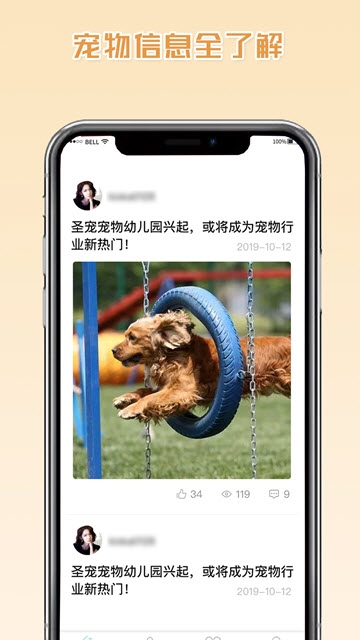 当当DOG
