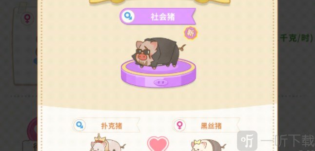 陽光養豬場高品質豬獲得攻略 高品質豬獲取方法