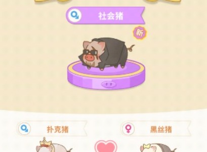 阳光养猪场高品质猪获得攻略 高品质猪获取方法