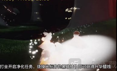 光遇2.24任务怎么完成 2月24日每日任务攻略分享