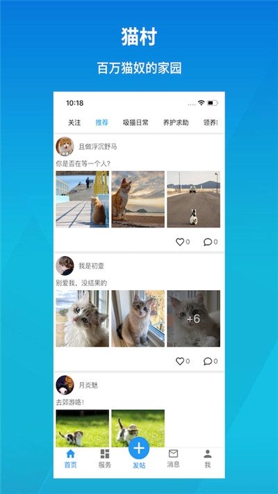猫村