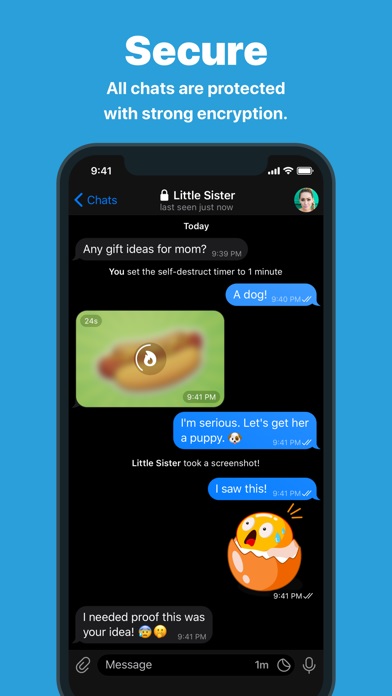 纸飞机社交app中文版