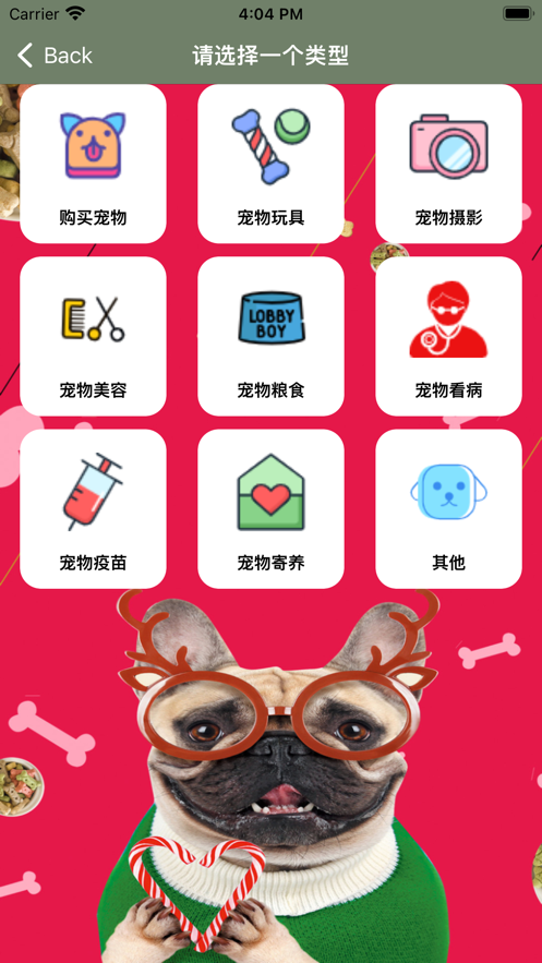 宠物开销记录小助手