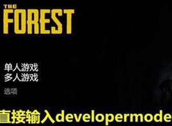 森林之子控制台怎么开不了 控制台开不了解决办法
