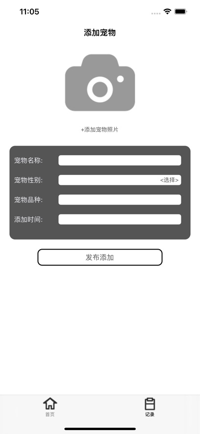 小丁宠宠