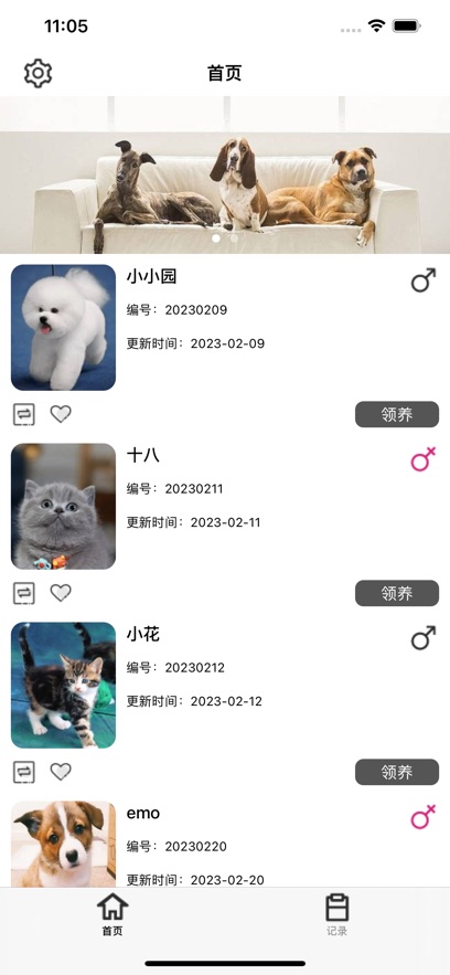 小丁宠宠