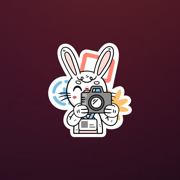 匹克的照片