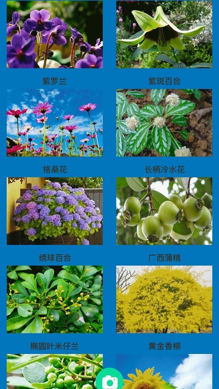 神农百草园艺