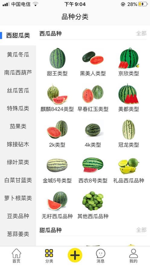 种哆哆