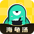 心跳海龟汤