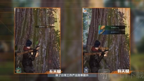 黎明觉醒厨师怎么升级 厨师等级提升攻略