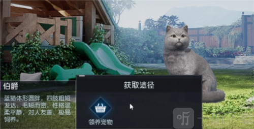 黎明觉醒宠物怎么获得 宠物系统解锁攻略