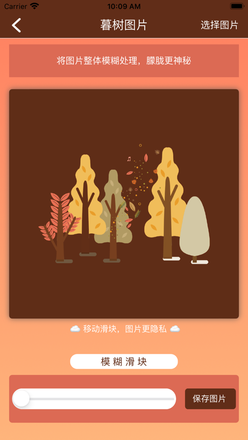 暮樹云貼士