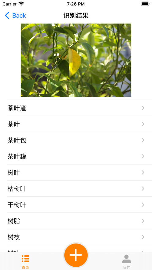 大全垃圾识别分类