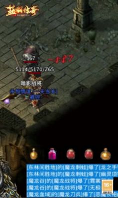 蓝羽传奇