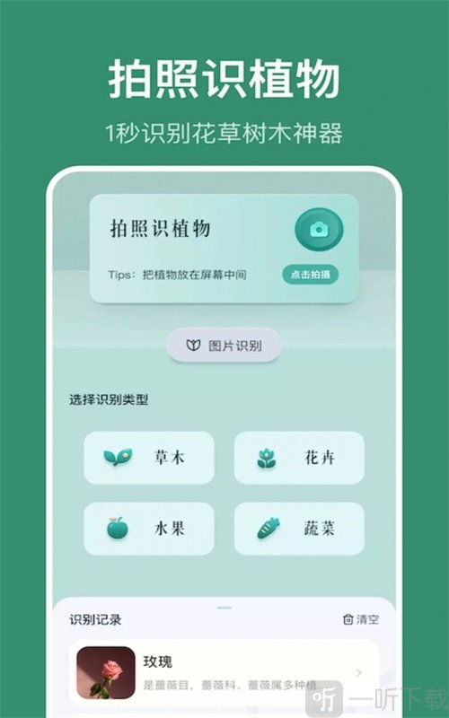 小黄养花