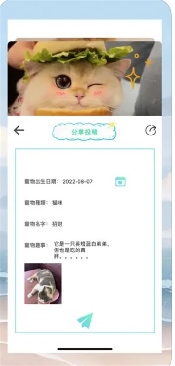 宠物趣事