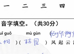 汉字找茬王随堂考试完成判卷过关攻略 随堂考试完成判卷答案