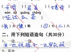 汉字找茬王班级小考通关攻略 汉字找茬王班级小考批改试卷答案
