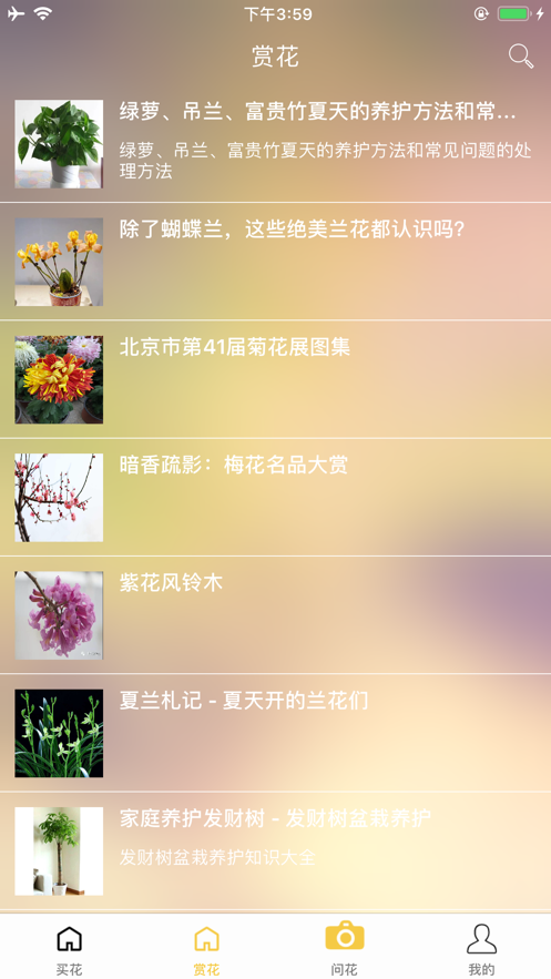 问花
