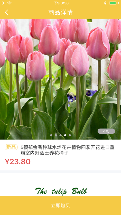 问花