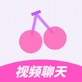 樱桃花