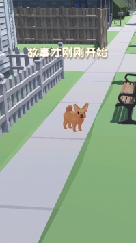 拆家萌宠