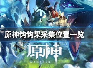 原神钩钩果获得攻略 钩钩果采集地点一览