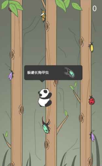 熊猫爬树