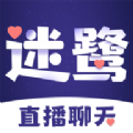 迷鹭聊天