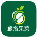 麟洛果菜购物