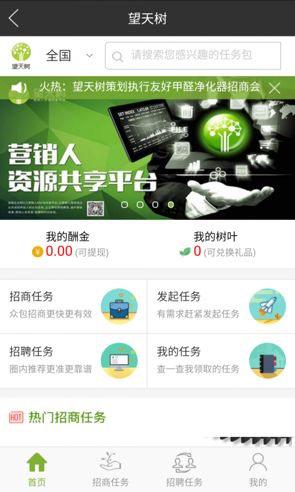 望天樹