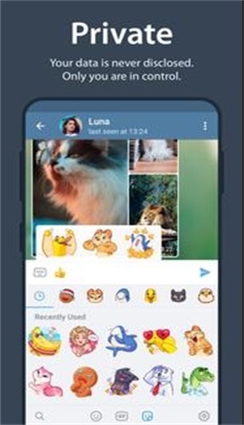 纸飞机telegram社交app