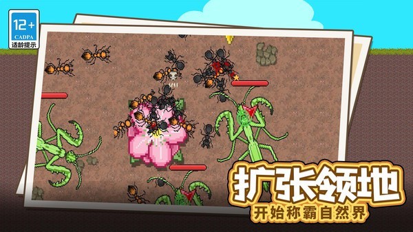 蚂蚁星球
