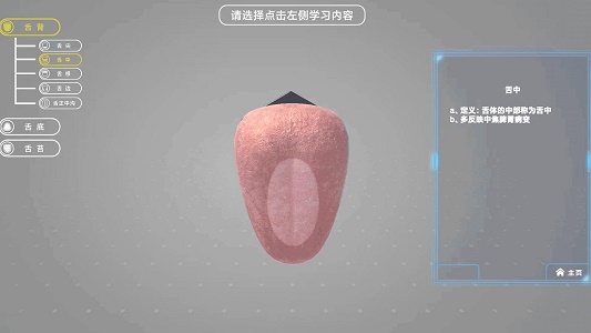 舌诊技能实训