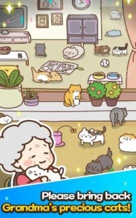 猫脑世界