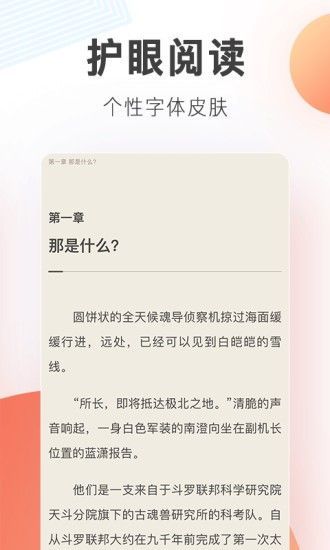 流星雨小说