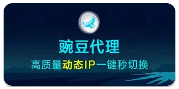 豌豆代理