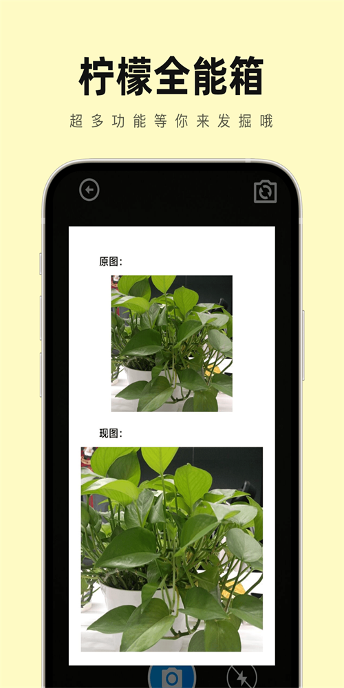 檸檬全能箱