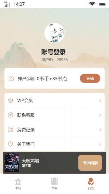 琳琅书斋小说