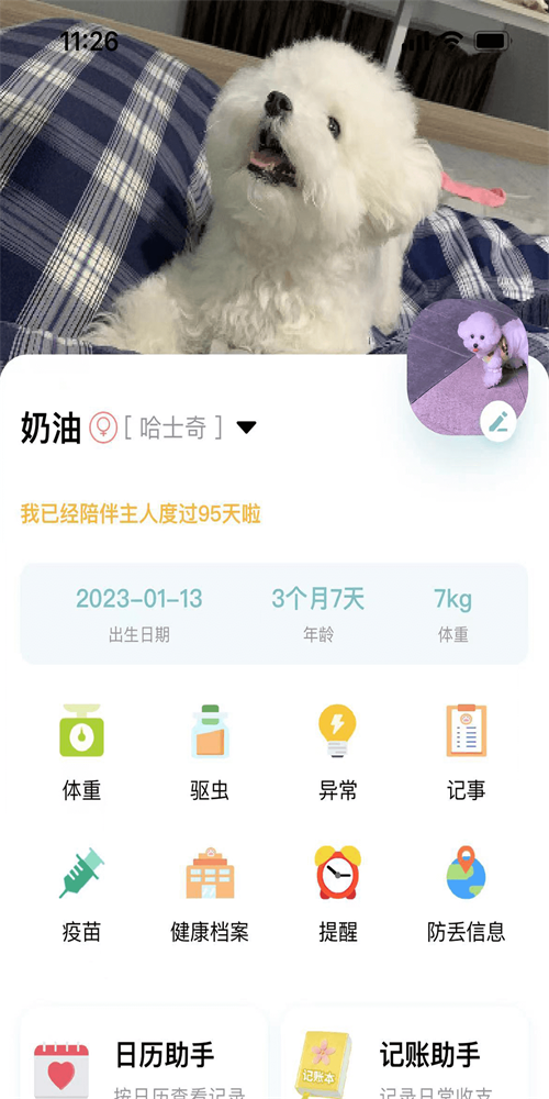 述宠